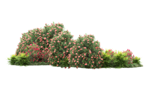 Realistic forest isolated on transparent background. 3d rendering - illustration png