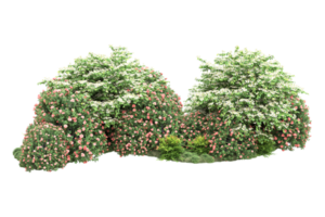 Realistic forest isolated on transparent background. 3d rendering - illustration png