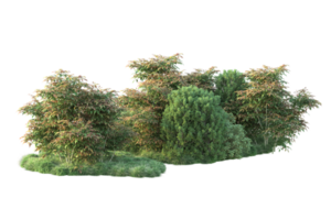 tropicale foresta isolato su trasparente sfondo. 3d interpretazione - illustrazione png