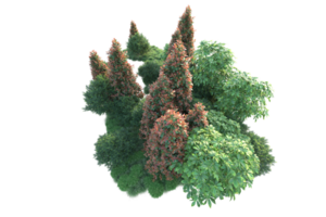 Realistic forest isolated on transparent background. 3d rendering - illustration png