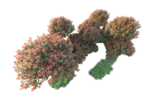 Realistic forest isolated on transparent background. 3d rendering - illustration png