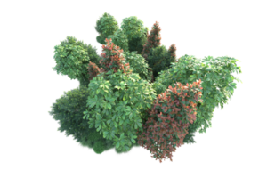 Realistic forest isolated on transparent background. 3d rendering - illustration png