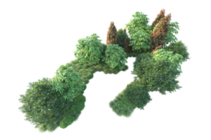 Realistic forest isolated on transparent background. 3d rendering - illustration png