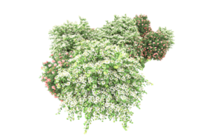 Realistic forest isolated on transparent background. 3d rendering - illustration png