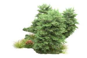 Realistic forest isolated on transparent background. 3d rendering - illustration png