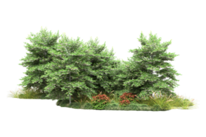 Realistic forest isolated on transparent background. 3d rendering - illustration png