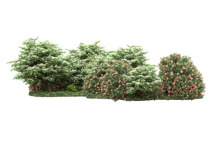 Realistic forest isolated on transparent background. 3d rendering - illustration png