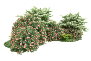 Realistic forest isolated on transparent background. 3d rendering - illustration png