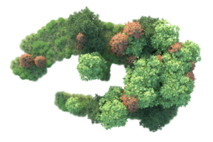 Tropical forest isolated on transparent background. 3d rendering - illustration png