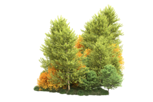 tropisch Wald isoliert auf transparent Hintergrund. 3d Rendern - - Illustration png