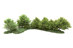 tropisch Wald isoliert auf transparent Hintergrund. 3d Rendern - - Illustration png