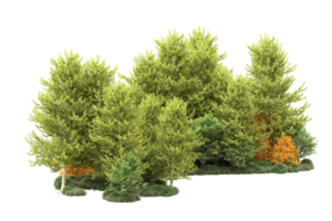 tropisch Wald isoliert auf transparent Hintergrund. 3d Rendern - - Illustration png