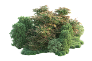 tropical forêt isolé sur transparent Contexte. 3d le rendu - illustration png