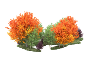 tropisch Wald isoliert auf transparent Hintergrund. 3d Rendern - - Illustration png