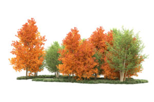 tropisch Wald isoliert auf transparent Hintergrund. 3d Rendern - - Illustration png