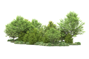 Tropical forest isolated on transparent background. 3d rendering - illustration png