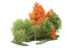 tropisch Wald isoliert auf transparent Hintergrund. 3d Rendern - - Illustration png