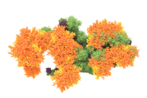 tropicale foresta isolato su trasparente sfondo. 3d interpretazione - illustrazione png