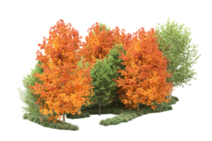 Tropical forest isolated on transparent background. 3d rendering - illustration png