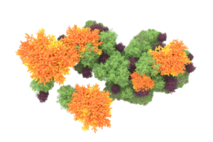 tropical forêt isolé sur transparent Contexte. 3d le rendu - illustration png