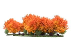 tropisch Wald isoliert auf transparent Hintergrund. 3d Rendern - - Illustration png