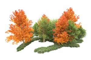 tropisch Wald isoliert auf transparent Hintergrund. 3d Rendern - - Illustration png