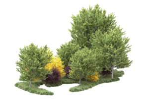 tropisch Wald isoliert auf transparent Hintergrund. 3d Rendern - - Illustration png