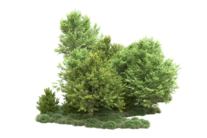 tropisch Wald isoliert auf transparent Hintergrund. 3d Rendern - - Illustration png