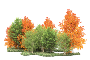 tropisch Wald isoliert auf transparent Hintergrund. 3d Rendern - - Illustration png