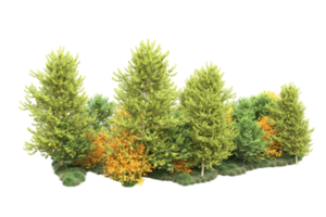 tropisch Wald isoliert auf transparent Hintergrund. 3d Rendern - - Illustration png