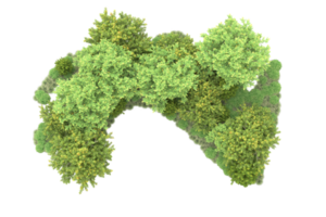 Tropical forest isolated on transparent background. 3d rendering - illustration png