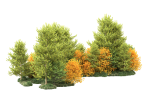 tropisch Wald isoliert auf transparent Hintergrund. 3d Rendern - - Illustration png