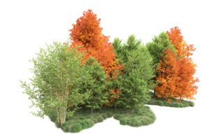 tropisch Wald isoliert auf transparent Hintergrund. 3d Rendern - - Illustration png