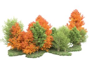 tropisch Wald isoliert auf transparent Hintergrund. 3d Rendern - - Illustration png