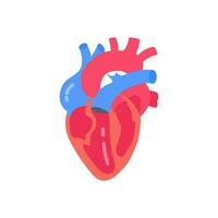 Heart Blood Circulation icon in vector. Logotype vector