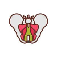 Pelvic Diaphragm icon in vector. Logotype vector