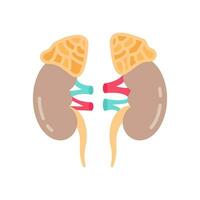 Adrenal Gland icon in vector. Logotype vector