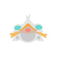 Cranial Dura icon in vector. Logotype vector