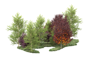 tropisch Wald isoliert auf transparent Hintergrund. 3d Rendern - - Illustration png