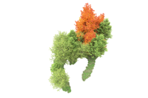 Tropical forest isolated on transparent background. 3d rendering - illustration png