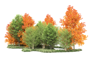 tropisch Wald isoliert auf transparent Hintergrund. 3d Rendern - - Illustration png