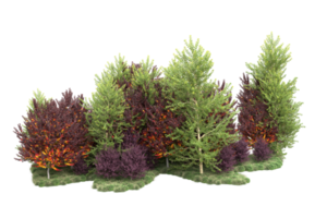 tropisch Wald isoliert auf transparent Hintergrund. 3d Rendern - - Illustration png