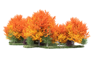 tropisch Wald isoliert auf transparent Hintergrund. 3d Rendern - - Illustration png