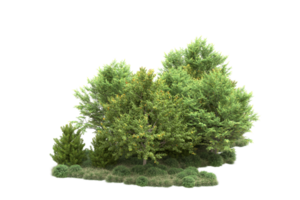 tropisch Wald isoliert auf transparent Hintergrund. 3d Rendern - - Illustration png