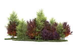 tropisch Wald isoliert auf transparent Hintergrund. 3d Rendern - - Illustration png