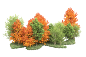 tropisch Wald isoliert auf transparent Hintergrund. 3d Rendern - - Illustration png