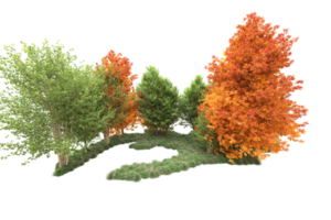 tropisch Wald isoliert auf transparent Hintergrund. 3d Rendern - - Illustration png