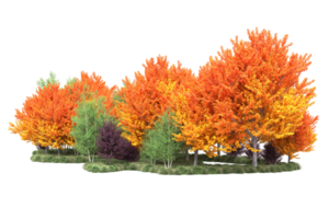 tropisch Wald isoliert auf transparent Hintergrund. 3d Rendern - - Illustration png