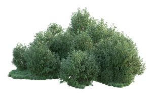 tropisch Wald isoliert auf transparent Hintergrund. 3d Rendern - - Illustration png