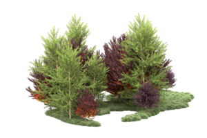 Tropical forest isolated on transparent background. 3d rendering - illustration png